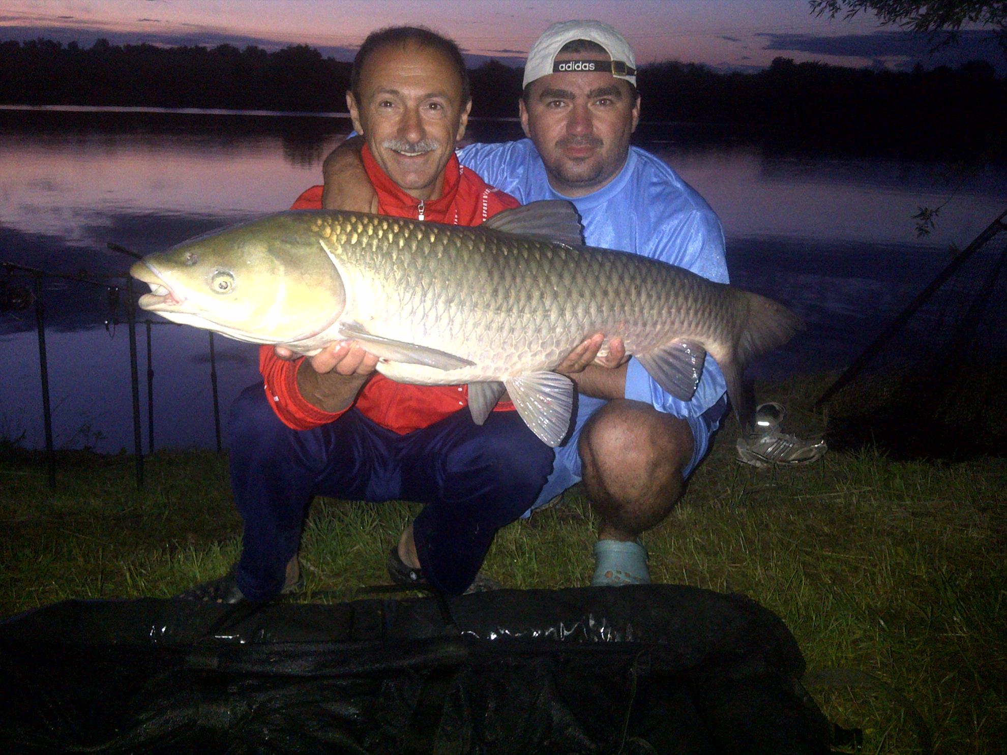 catch & release - img-20110625-000941.jpg